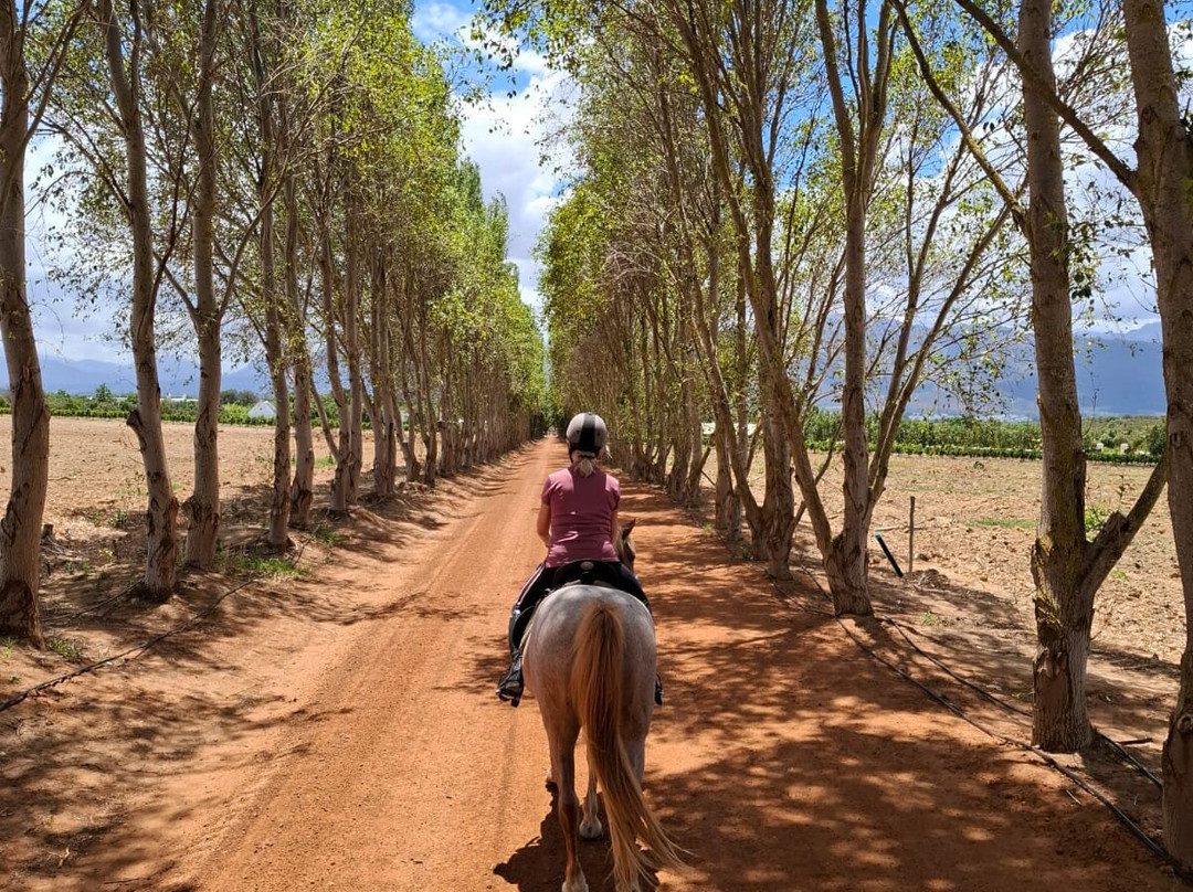Cape Winelands Riding-Simondium必去景点