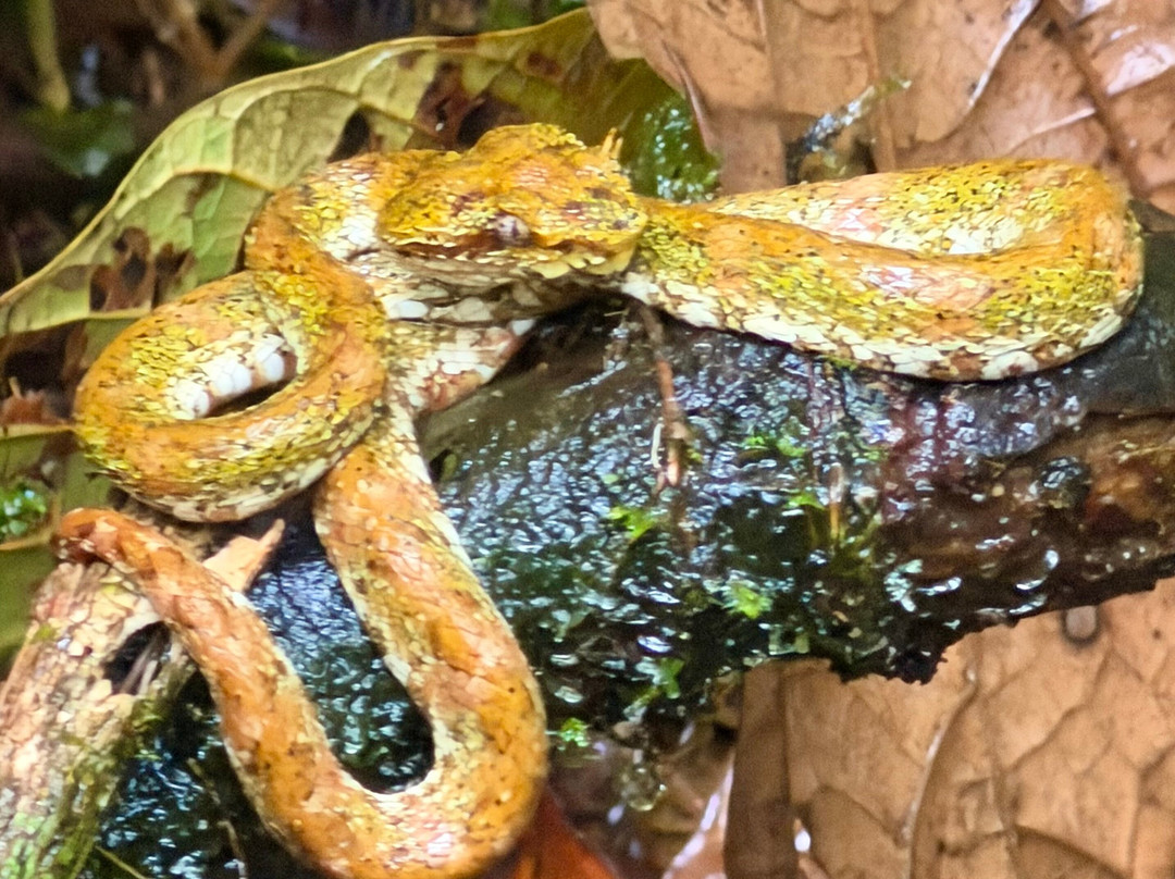 NexusTours-圣何塞必去景点