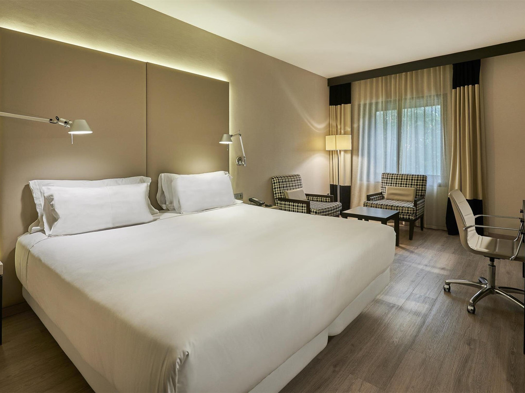 蕾达皮利耐奥斯NH酒店