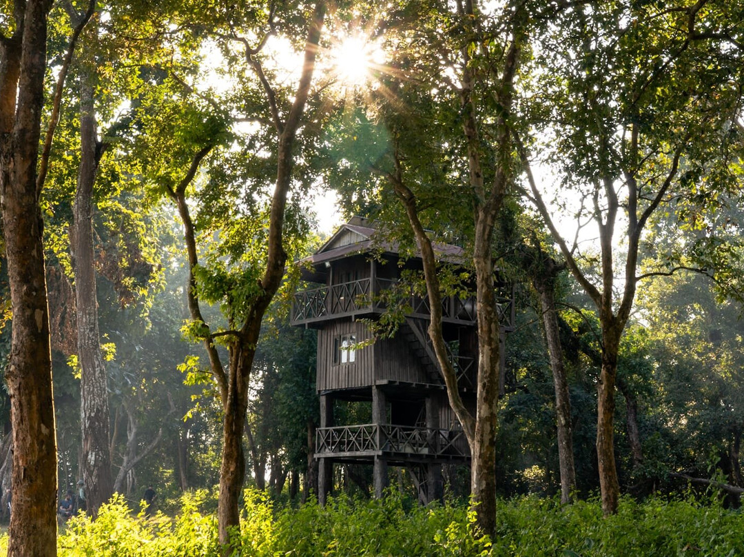 United Jungle Guide Service-奇旺国家公国必去景点