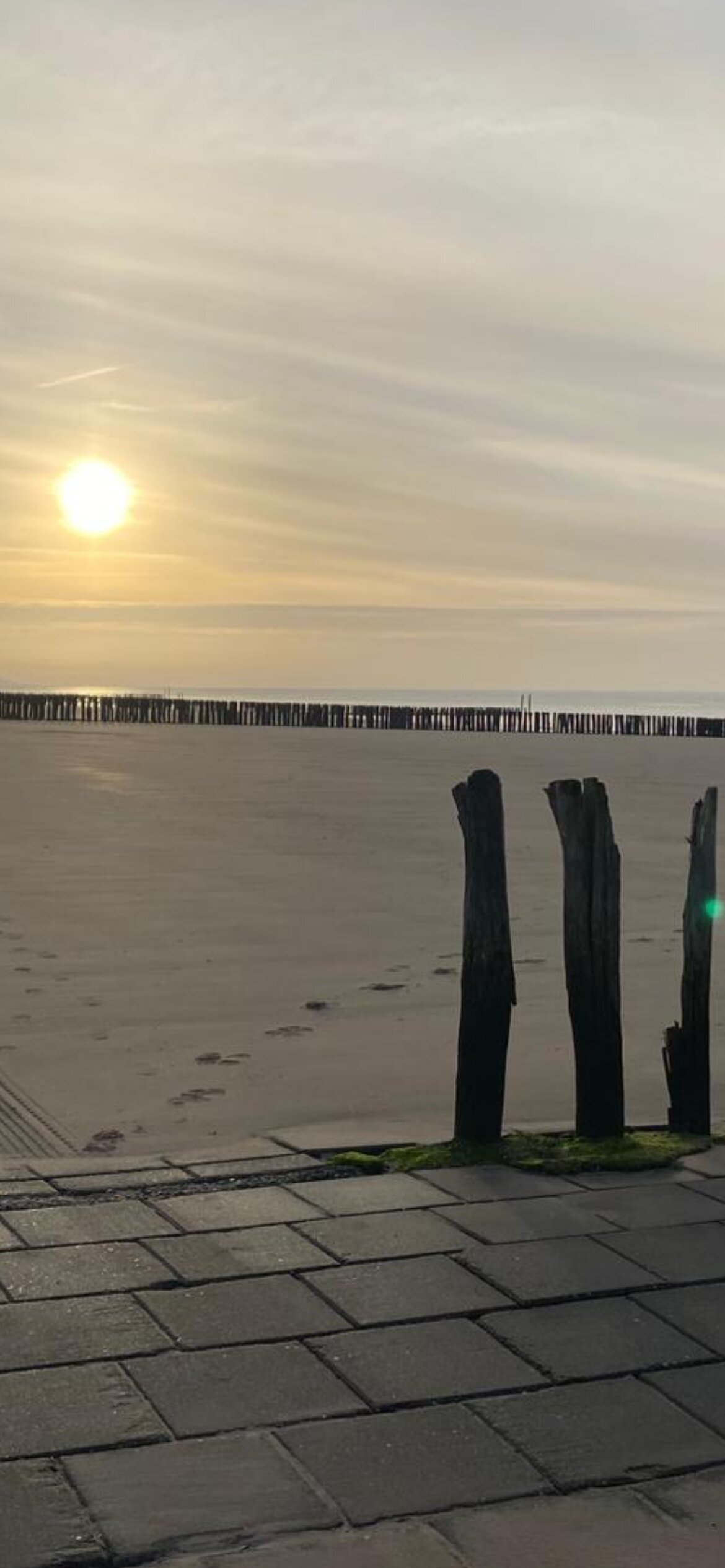 弗莱彻酒店-官方