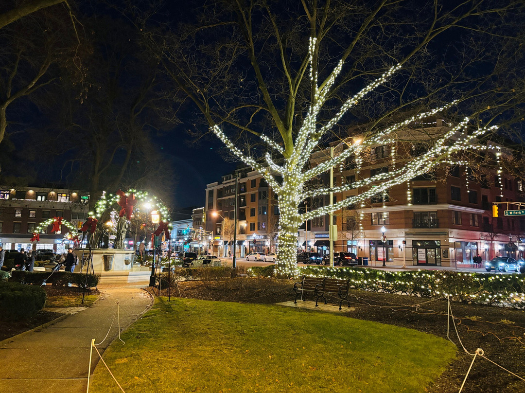 The Morristown Green