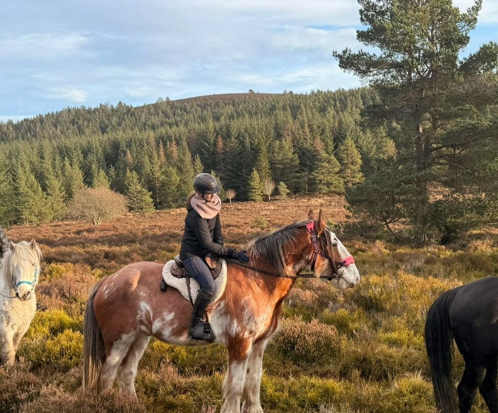 Highlands Unbridled Trail Riding & Trekking Centre-Aboyne必去景点