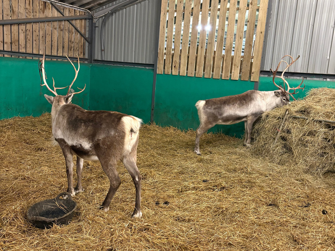 Walby Farm Park-Crosby on Eden必去景点