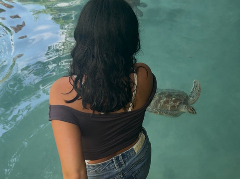 Raxy tours And Safaris-石头城必去景点