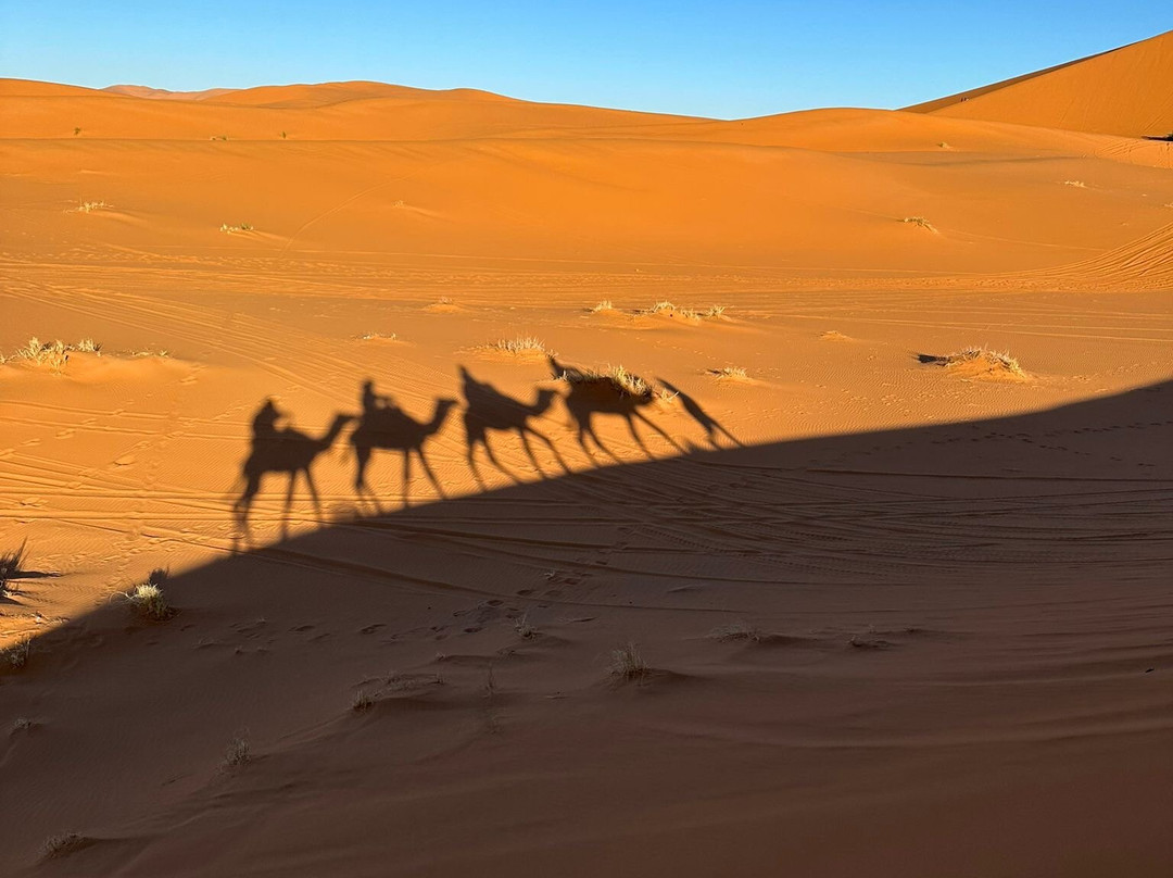 Marrakech Camel Trips-非斯必去景点