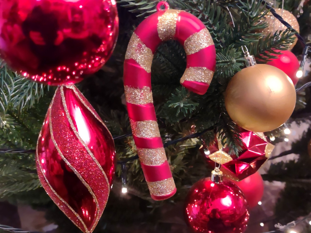 贝斯特韦斯特王冠酒店主图