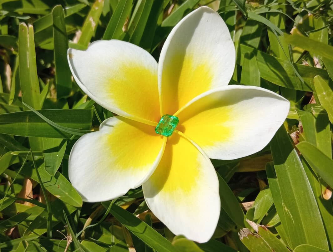 Zamrock Gems And Crafts-李文斯顿必去景点