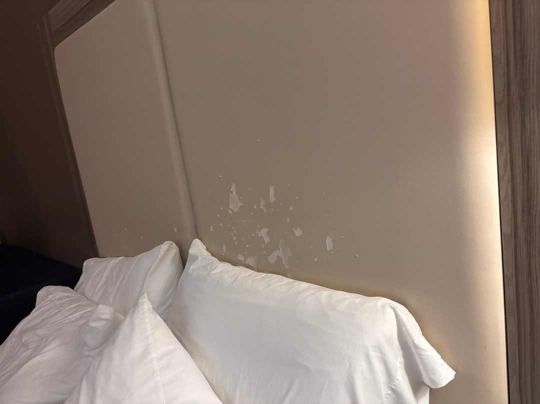 Holiday Inn Express & Suites Williams By IHG主图