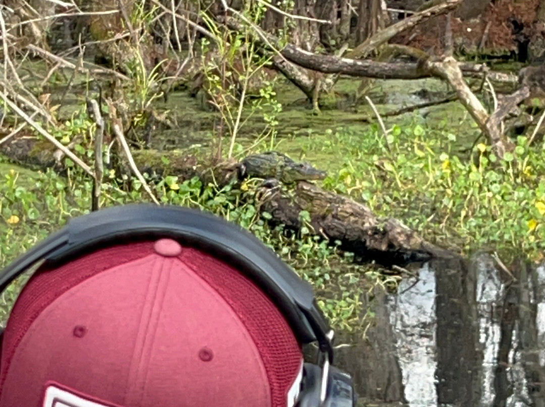Tom and Jerry's Airboat Tours-Lake Panasoffkee必去景点