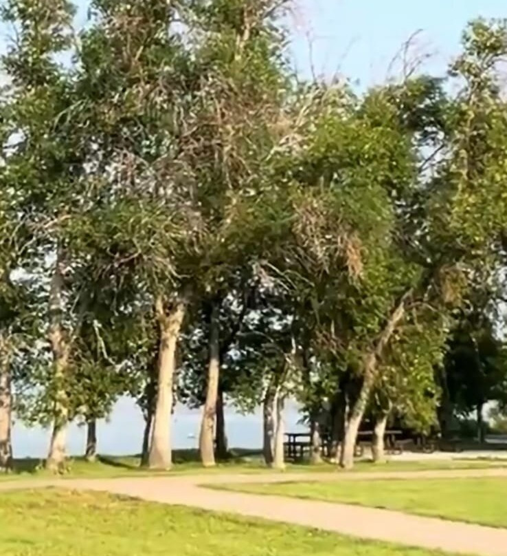 Buffalo Pound Provincial Park-穆斯乔必去景点