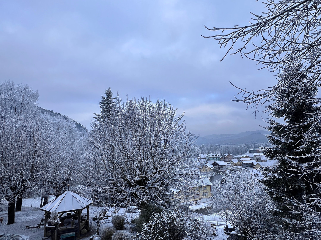 Hotel Belvedere主图