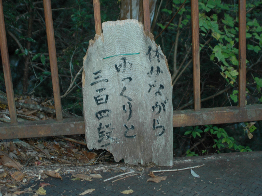 Yume no Tsuribashi Suspension Bridge-川根本町必去景点