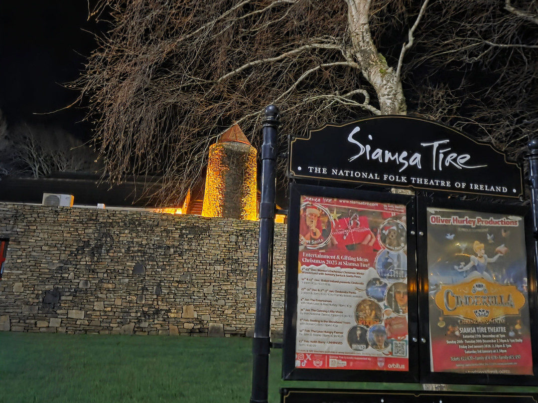Siamsa Tire Theatre & Arts Centre-特拉利必去景点