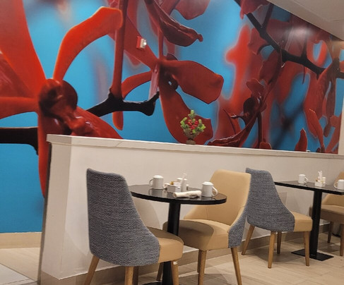 巴拿马美特柔摩尔购物中心万怡酒店主图