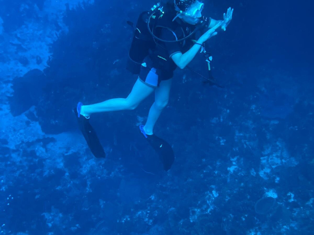 Deep Turtle Plongee-Les Anses d'Arlet必去景点