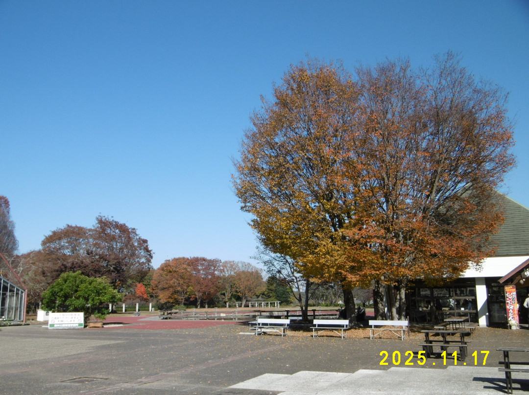 Norin Park-深谷市必去景点