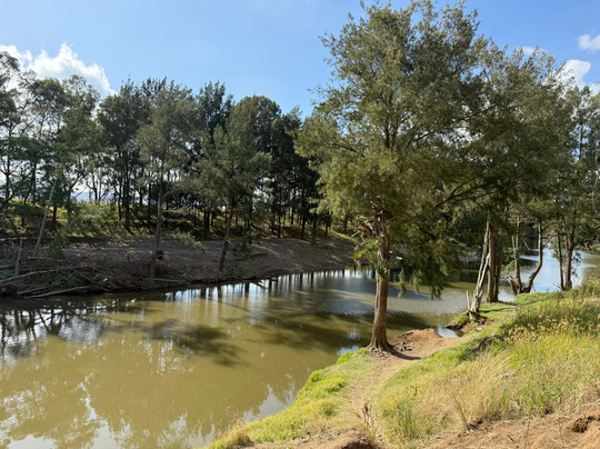 Rope Swing-Denman必去景点