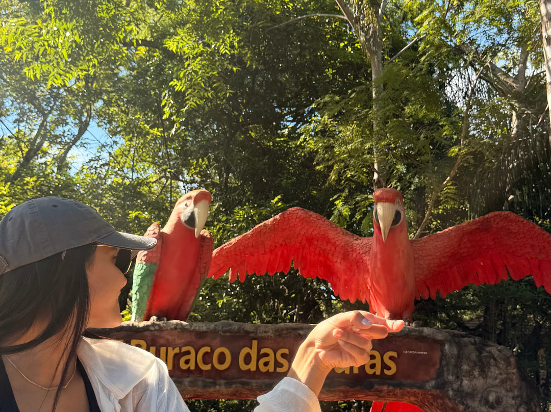 Buraco das Araras Ecoturismo-雅尔丁必去景点