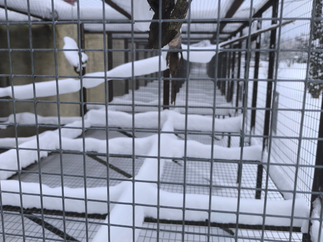 Bird Park Vorobyi-Vorobi必去景点