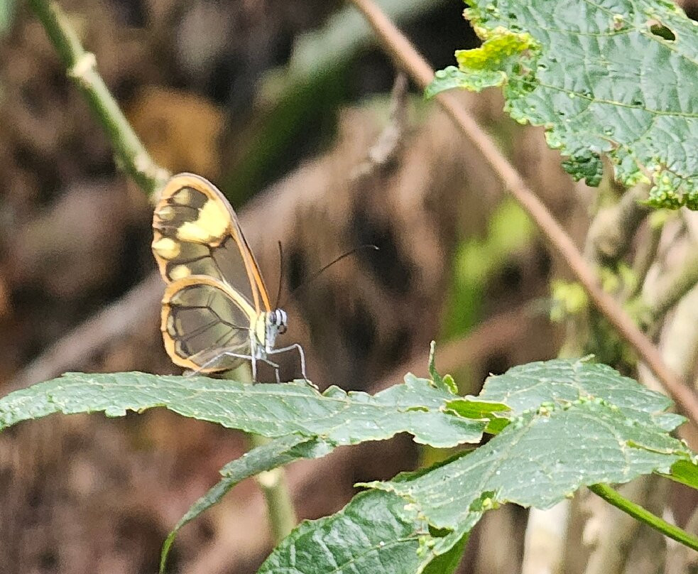 Rogitama Biodiversidad-Arcabuco必去景点