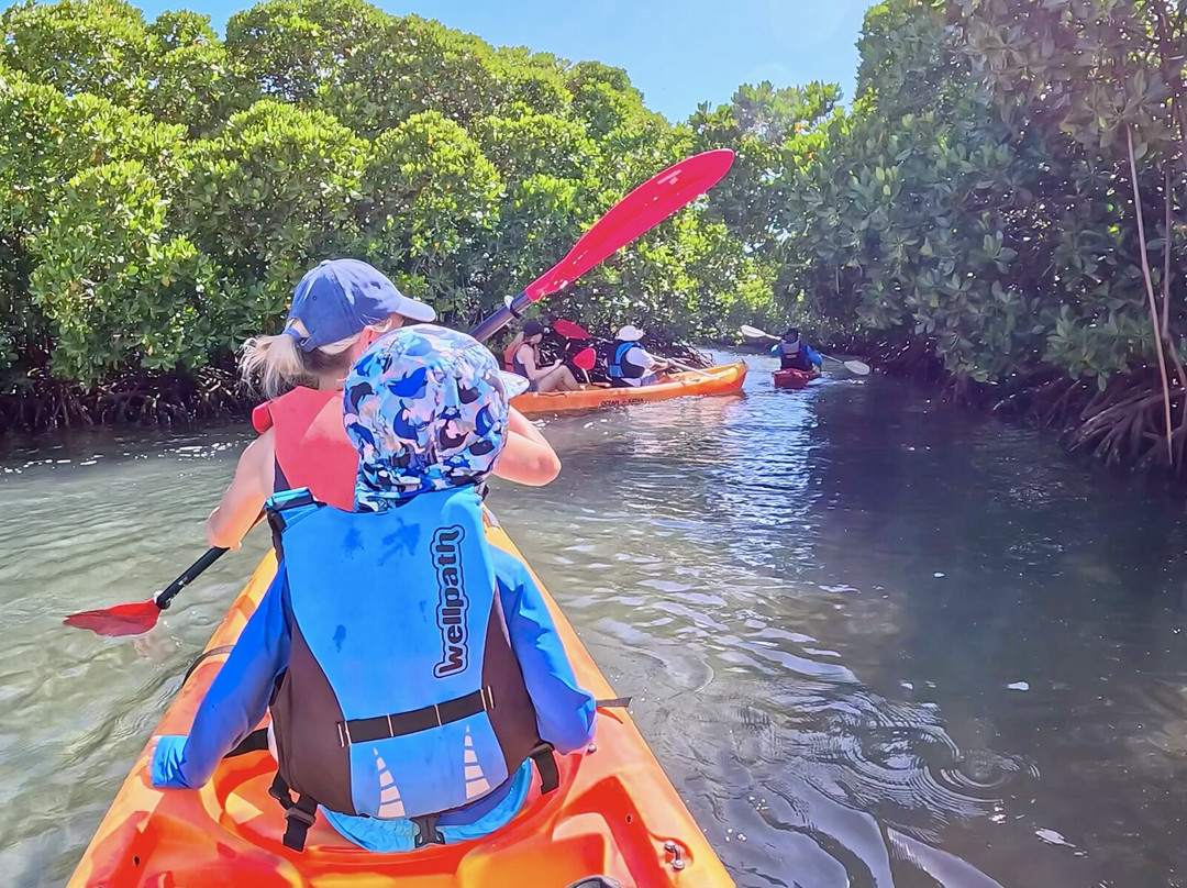 Sea Kayak Adventures-毛里求斯必去景点