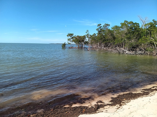 Captain Craig’s Everglades Boat Adventures LLC-Chokoloskee必去景点