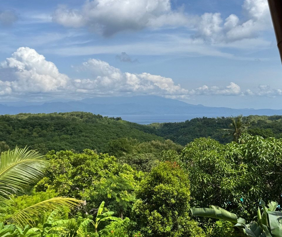 Penida Bambu Green Villas主图