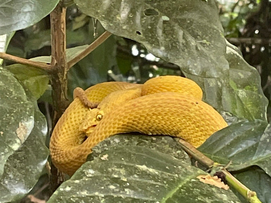 Royal Service Tours-利比里亚必去景点