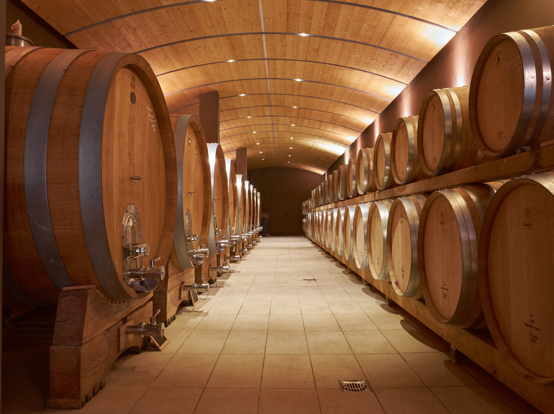 Luciano Arduini Winery-San Pietro in Cariano必去景点
