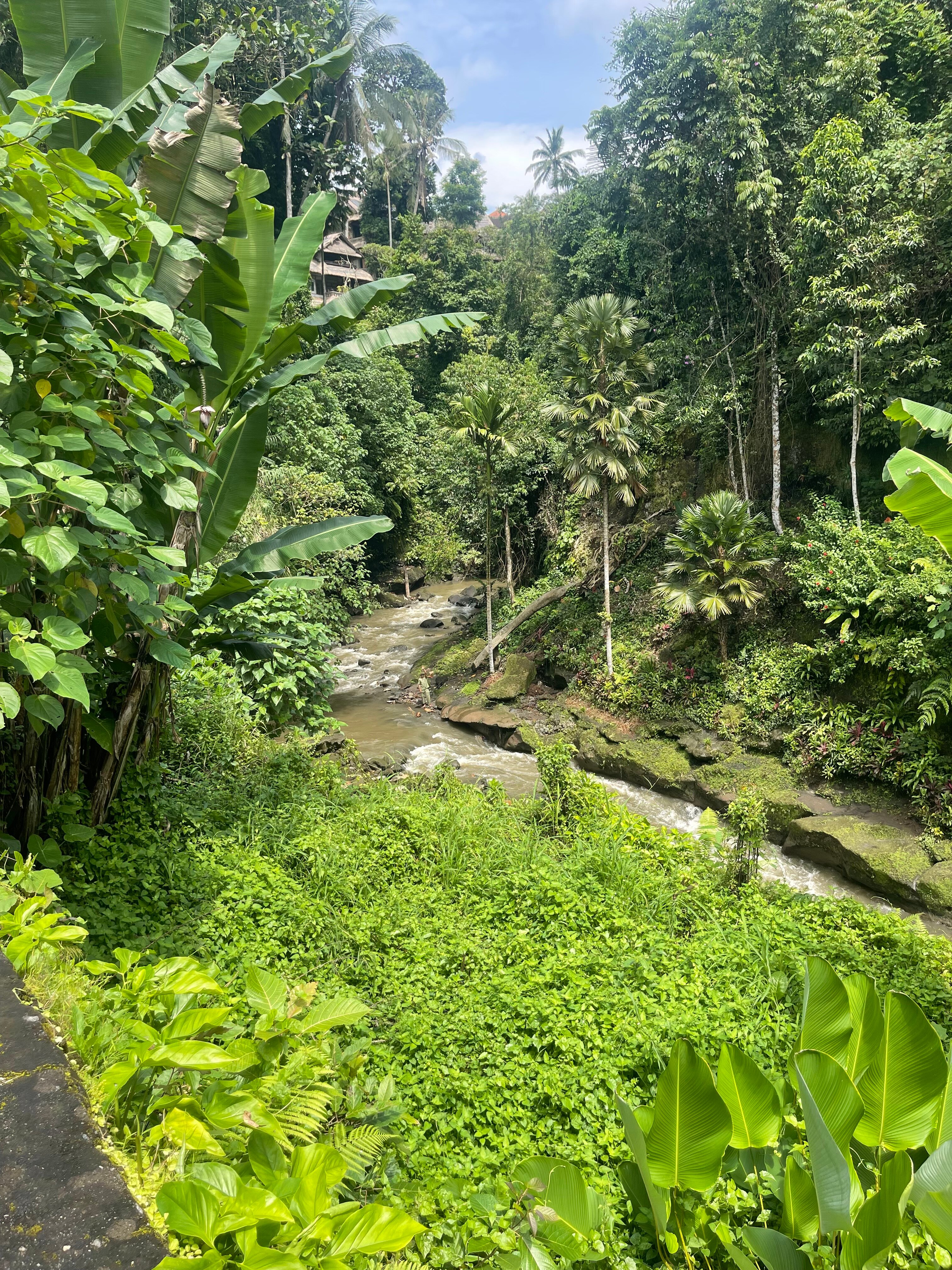 替佳睦普酒店-官方