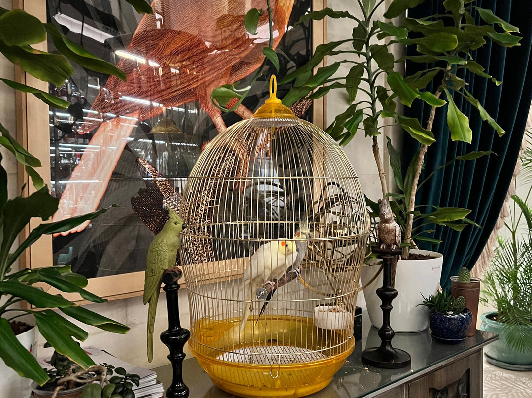 The Merchant Baku主图