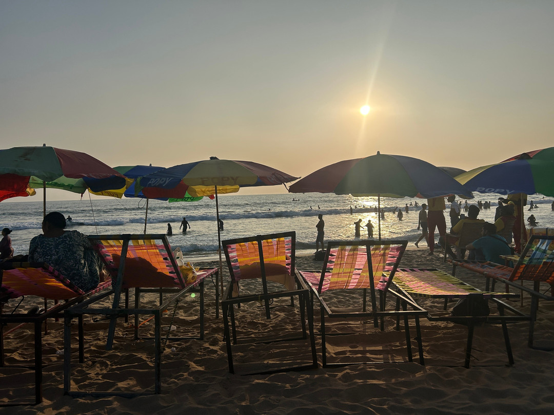 Ayushi Ayurvedic Retreat-瓦卡拉必去景点