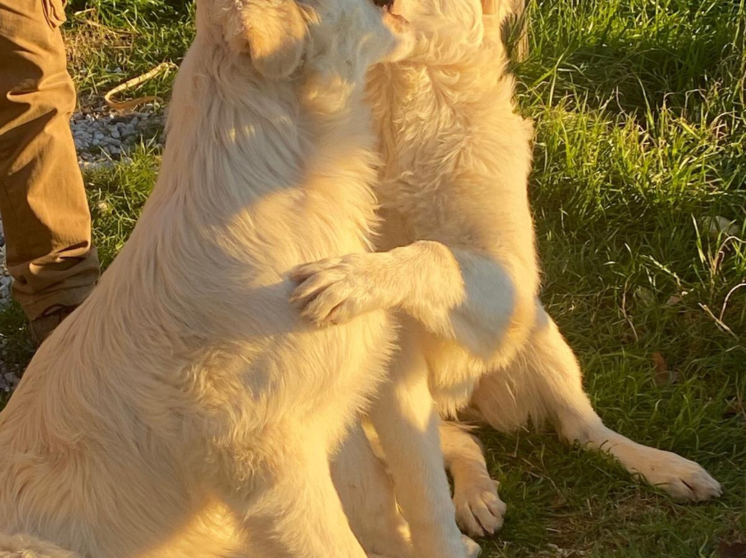 Podere Paterno-Monterotondo Marittimo必去景点