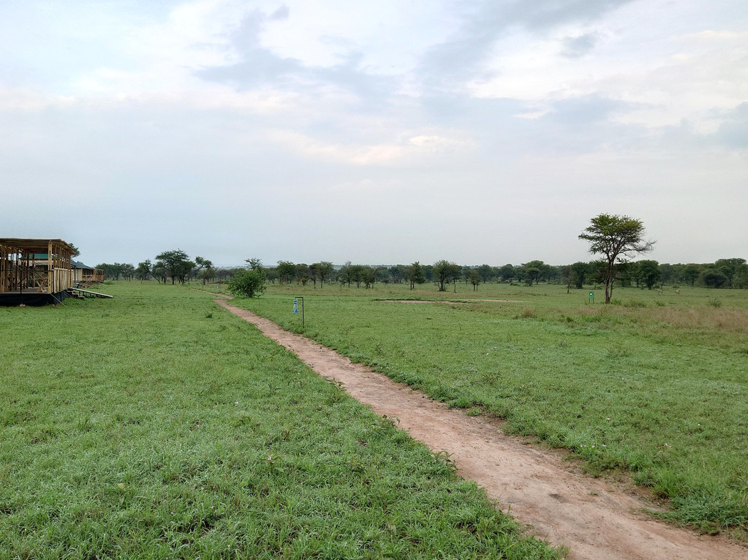 OSOTUA TENTED CAMPS-Ikoma必去景点