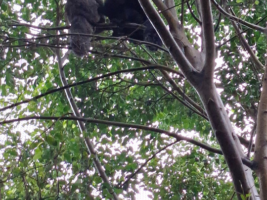 Selwo Marina-班纳玛德纳必去景点