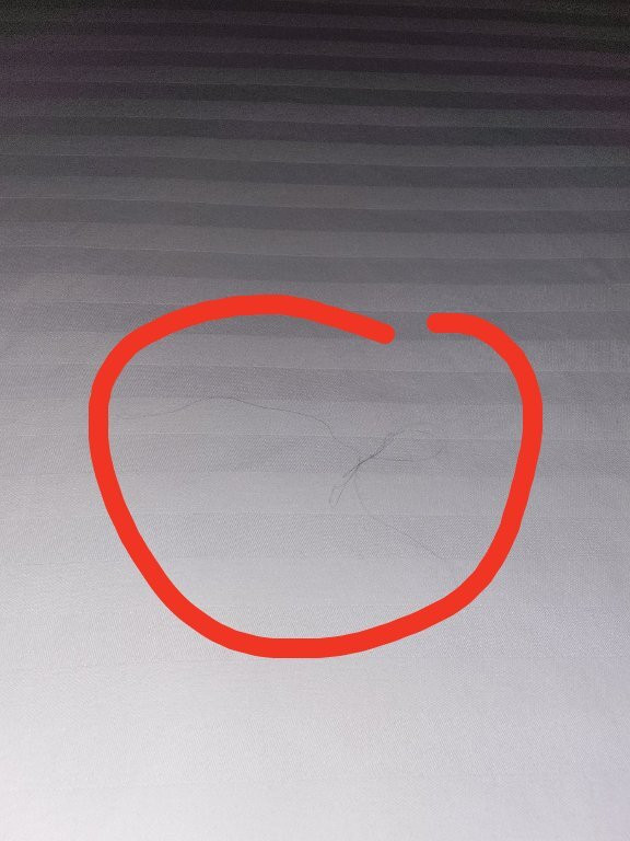 Junction Motel Wagga主图