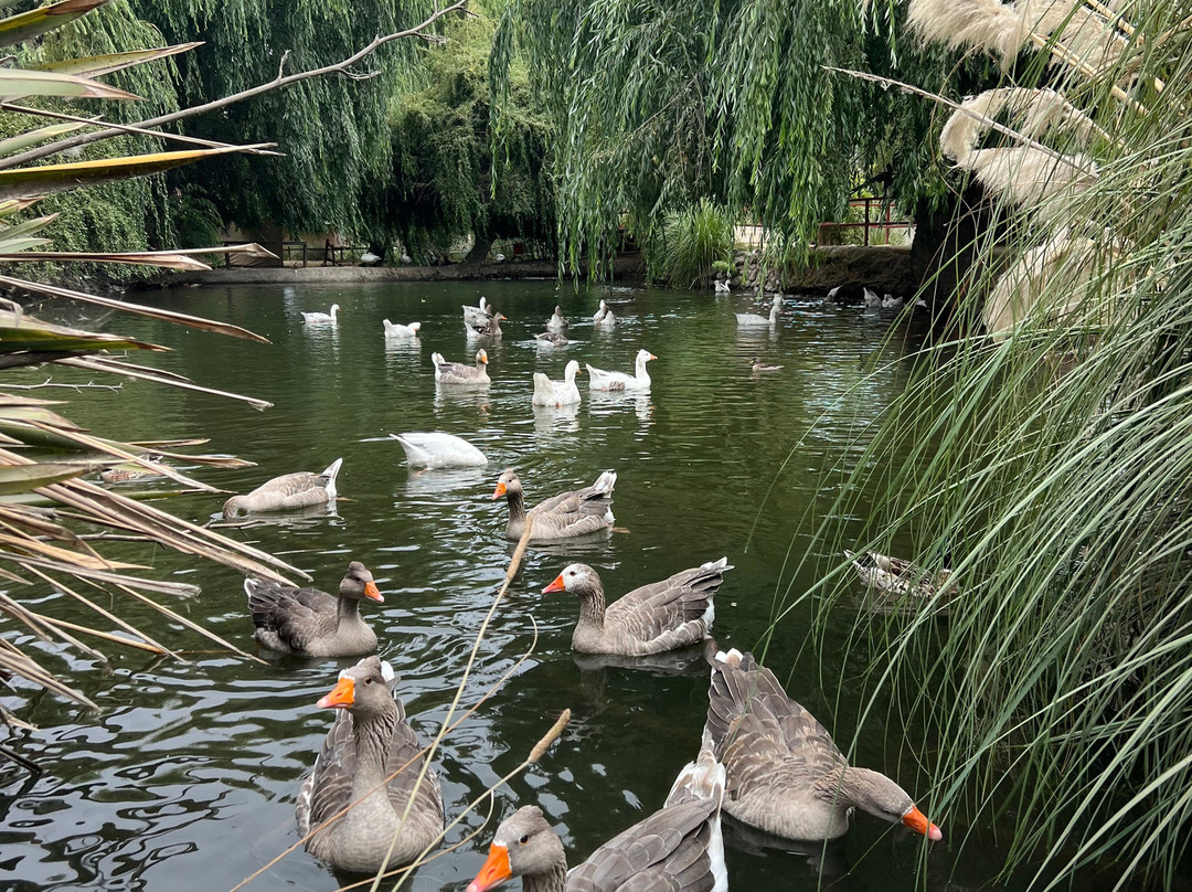 Parque Safari-兰卡瓜必去景点