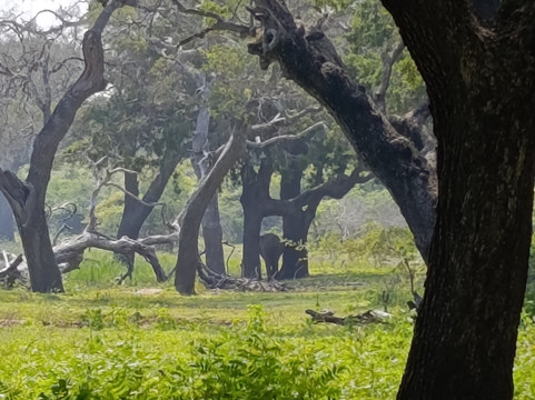 Travel With Kanthana-卡卢特勒必去景点