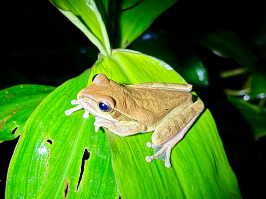 Coffee Mountain Inn主图