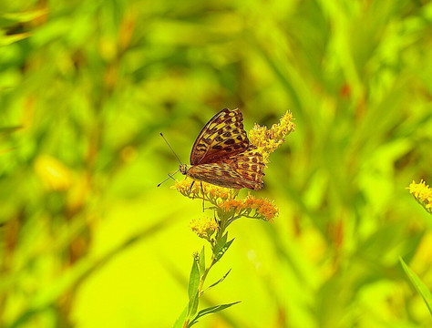 Shuparo Lake-夕张市必去景点