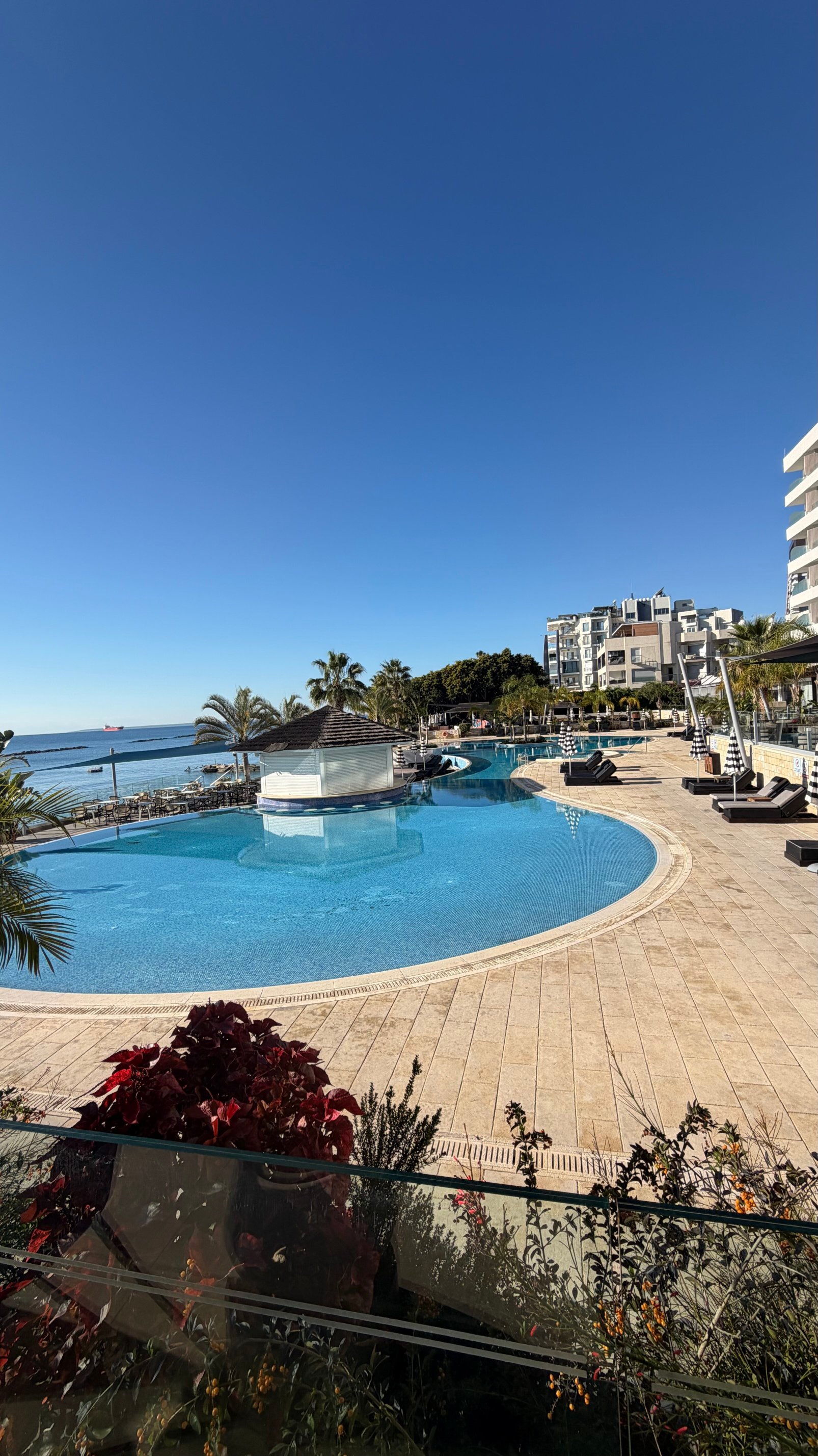 Royal Apollonia-官方