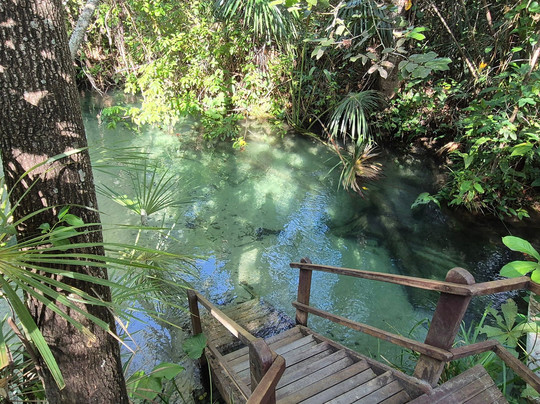 Cerrado Dourado Expedições-Jalapao State Park必去景点