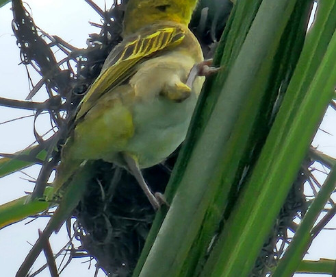 Casa Museo Hermanas Mirabal-Salcedo必去景点