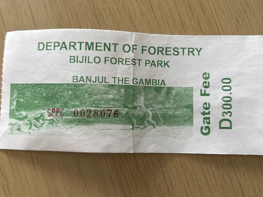 比吉洛森林公园-班竹必去景点