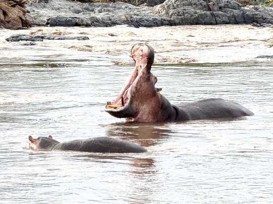 Tansania Reiseabenteuer SDL GmbH-柏林必去景点