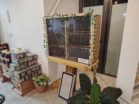 Mundo Abejas-Museo apícola