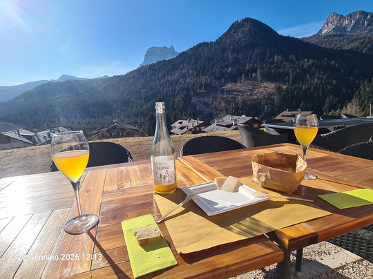 SANWIDO Azienda Agricola