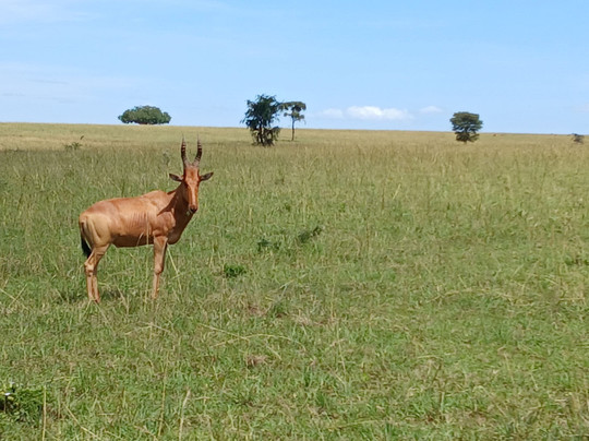 Kidepo Valley National Park-Kaabong必去景点
