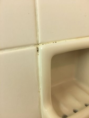 大阪瑞士南海酒店主图